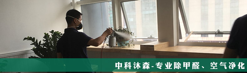 新联邦艺校 (1).jpg